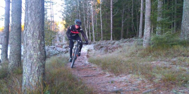 Nykommer på Hard Rocx Abax Racing Team